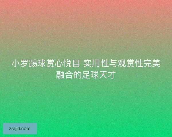 小罗踢球赏心悦目 实用性与观赏性完美融合的足球天才