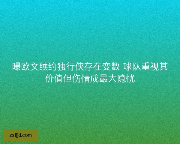曝欧文续约独行侠存在变数 球队重视其价值但伤情成最大隐忧